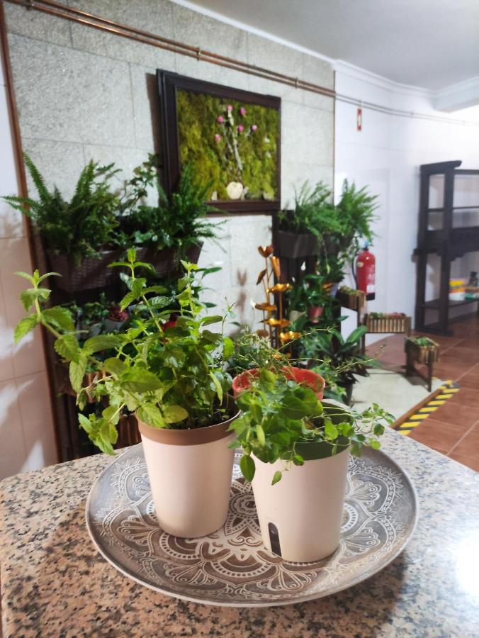 Zimao Garden House Hotel วิลา โปวคา เด อาเกีย ภายนอก รูปภาพ